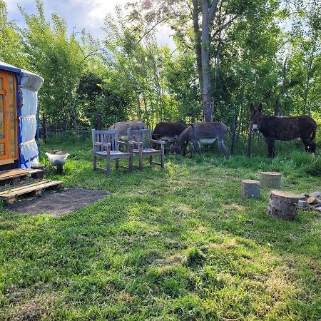 فندق ارسخوتفي  Slapen Tussen De Ezels In De Yurt المظهر الخارجي الصورة