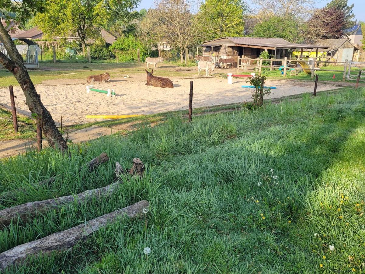 فندق ارسخوتفي  Slapen Tussen De Ezels In De Yurt المظهر الخارجي الصورة
